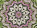 flowertime.jpg